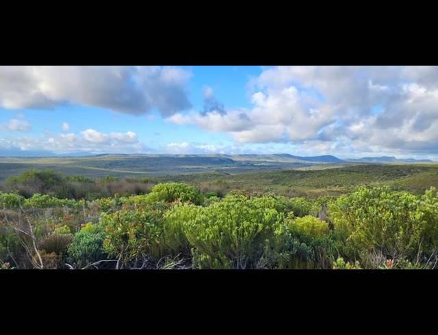 FARM FOR SALE IN STILBAAI RURAL